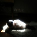 Vecka 29 med Instagram