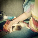Vecka 37 med Instagram
