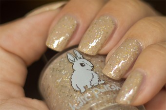 hare-backtonature-5