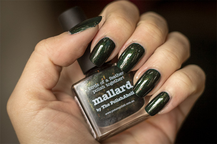 picturepolish-mallard-1