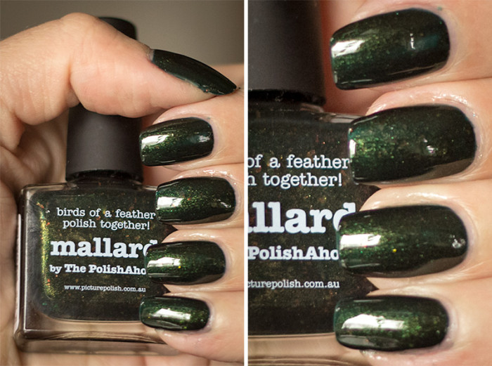 picturepolish-mallard-3