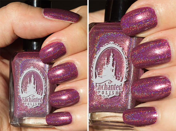 enchantedpolish-february2014-3