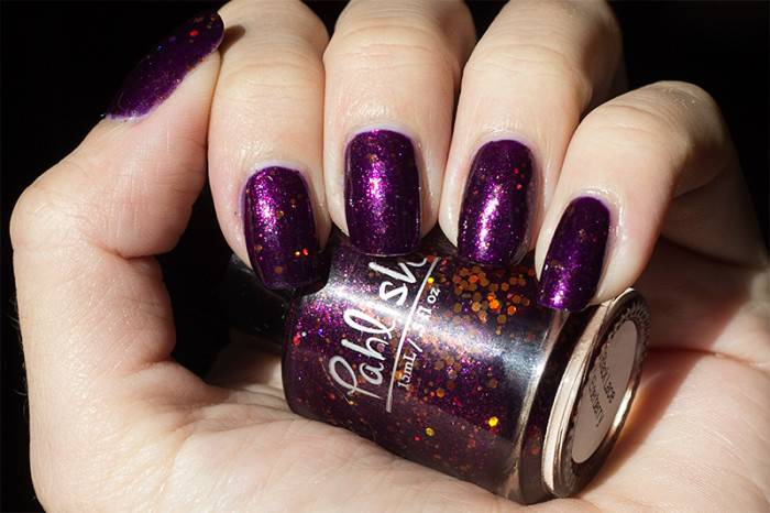 pahlish-blacklaceelderberry-2